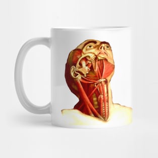 Throat anatomy vintage class medicine Mug